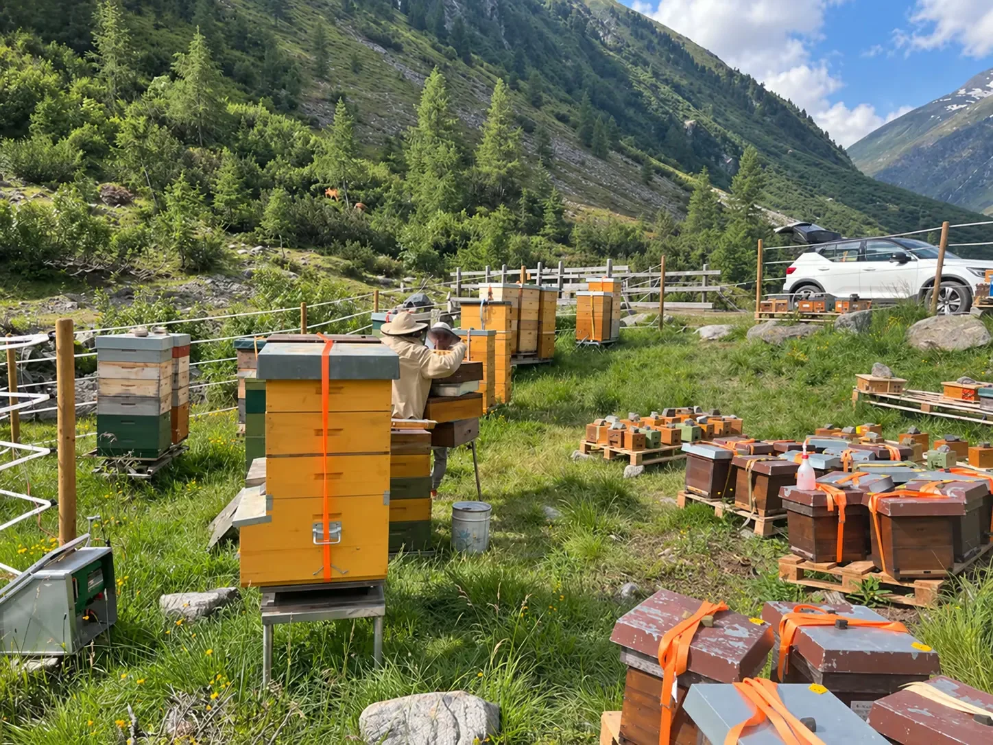 Alpiner Belegstellenstand